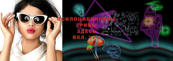 крисы Нефтегорск