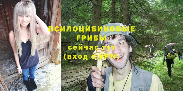 прущий лед Нея