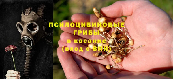 крисы Нефтегорск