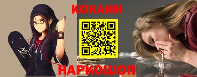 стаф Дубна