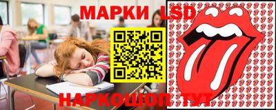 стаф Дубна