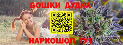 стаф Дубна