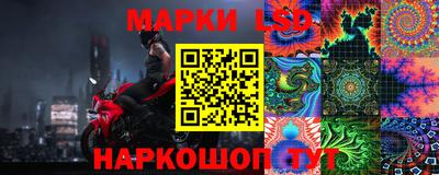 стаф Дубна