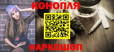 стаф Дубна