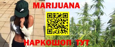 стаф Дубна