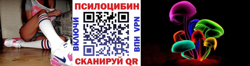 где купить наркотик  Луга  Псилоцибиновые грибы мицелий 