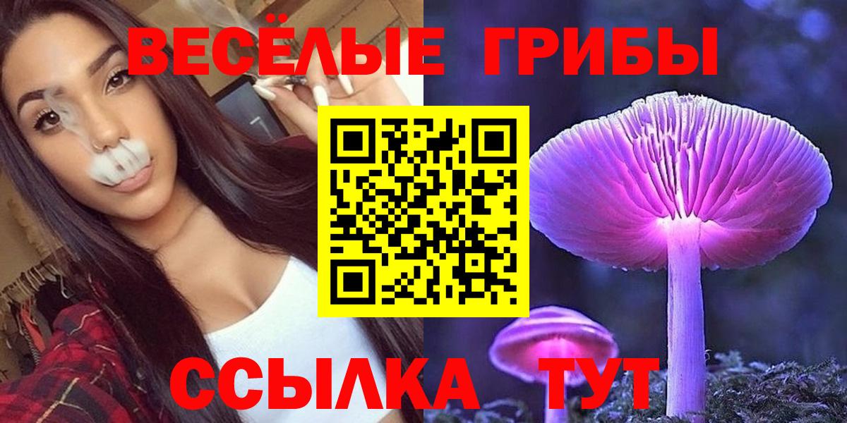 Псилоцибиновые грибы GOLDEN TEACHER  хочу наркоту  Галлюциногенные грибы мухоморы  Луга  Вход с VPN 