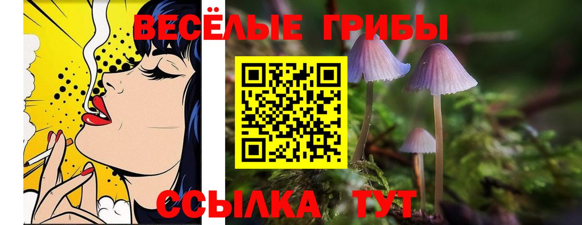 сколько стоит  Псилоцибиновые грибы GOLDEN TEACHER  Луга  Галлюциногенные грибы ЛСД 