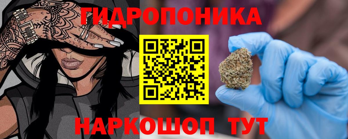 Луга  Бошки Шишки THC 21%  Бошки марихуана план  Вход с VPN  Конопля гибрид 